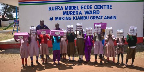 Ruera primary-4