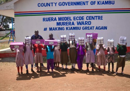 Ruera primary-4