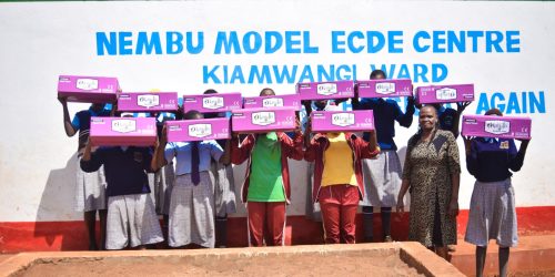 nembu primary-2