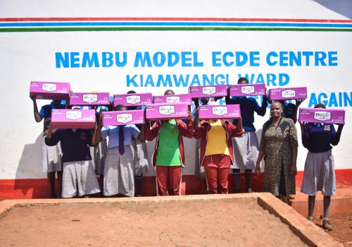 nembu primary-2